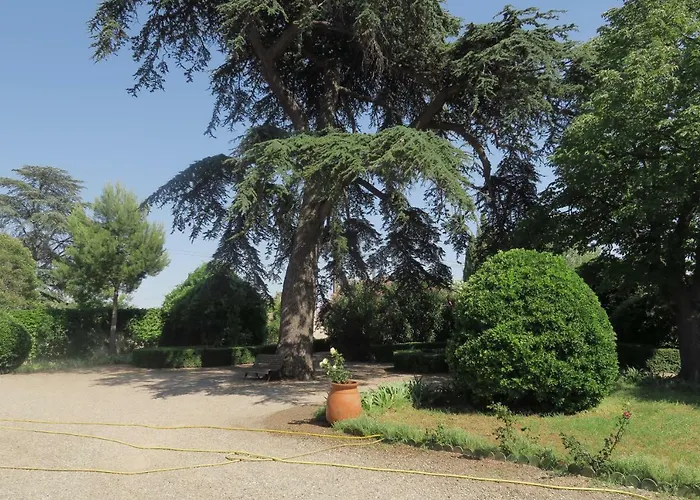 Nocleg ze śniadaniem Le Domaine De Fraissinet Ouveillan